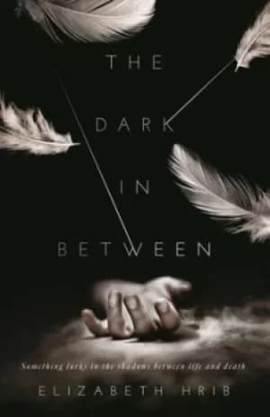 The dark in-between by Elizabeth Hrib