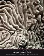 mozarts third brain