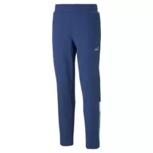 Puma Manchester City CNY Training Joggers 2023 Adults - Blue