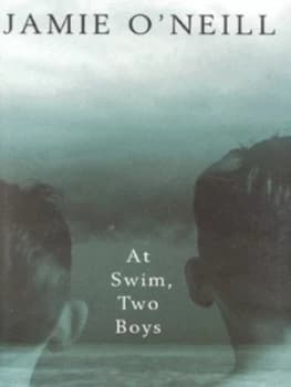 At Swim Two Boys by Jamie Oneill Hardback