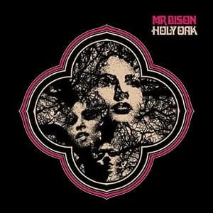 Mr. Bison - Holy Oak Vinyl