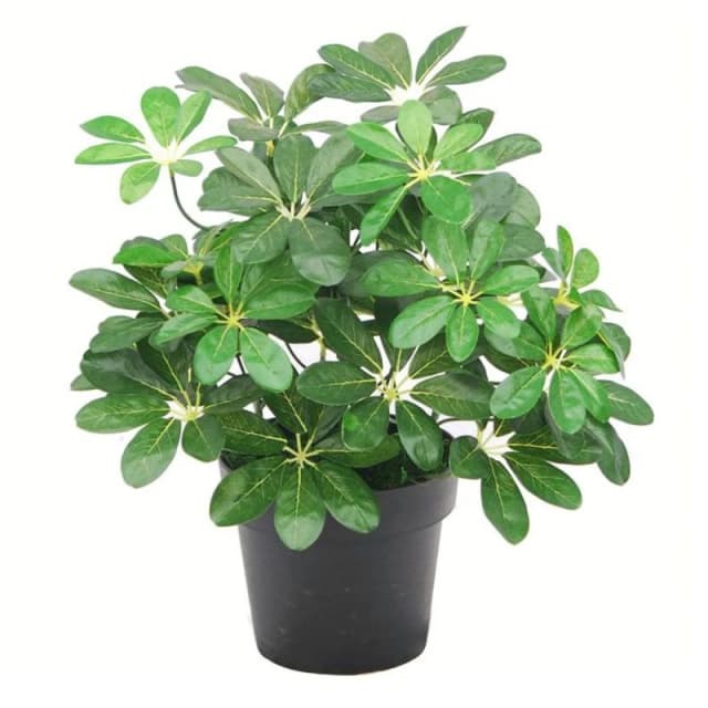 Leaf 55cm Dark Green Artificial Schefflera Arboricola Plant Green unisex