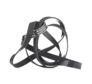 RIDEX V-ribbed belt 305P0411 Serpentine belt,Auxiliary belt VW,AUDI,MERCEDES-BENZ,Touareg (7P5, 7P6),Phaeton (3D1, 3D2, 3D3, 3D4, 3D6, 3D7, 3D8, 3D9)