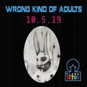 Wrong Kind of Adults by Flesh Tetris CD Album