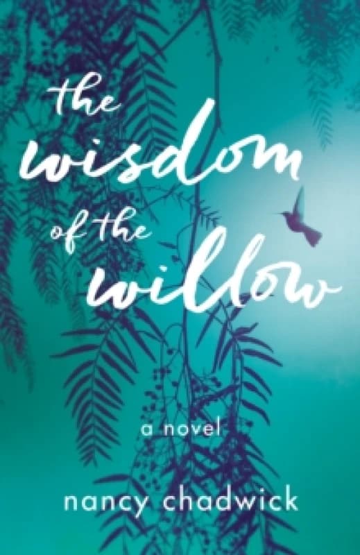 The Wisdom of the Willow : A Novel Paperback / softback
