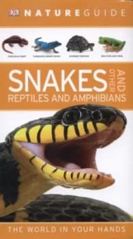 Snakes and Other Reptiles and Amphibians by Chris Mattison Paperback