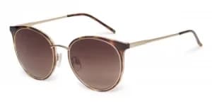 Ted Baker Sunglasses TB1610 122