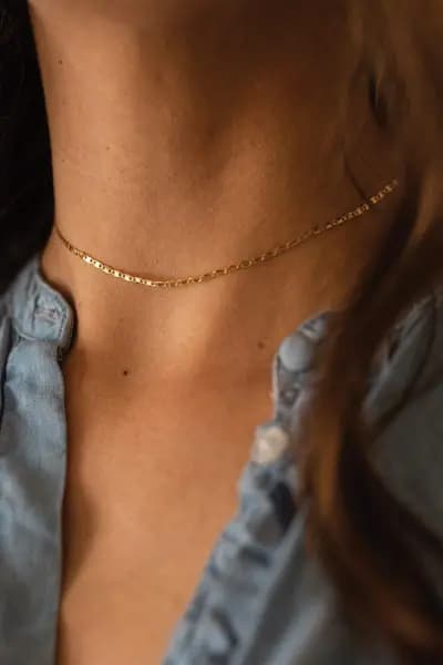 Elk & Bloom Dainty 14K Gold Chain Choker Gold