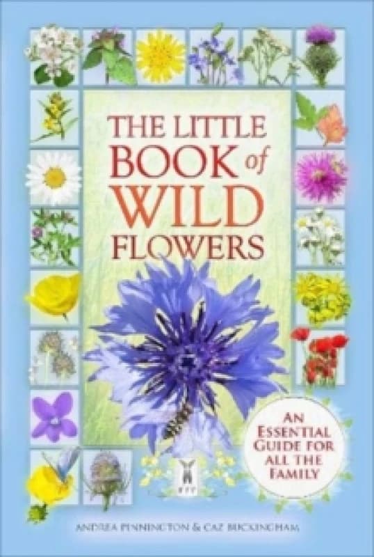 The Little Book of Wild Flowers Paperback / softback