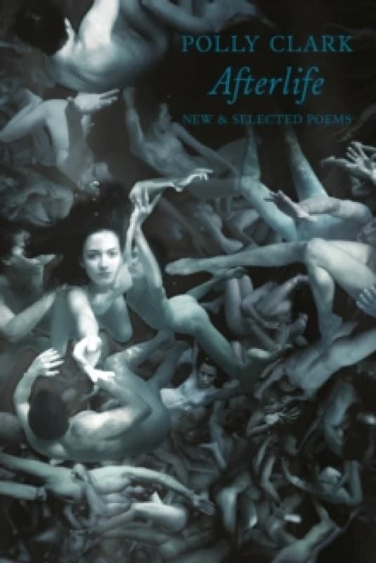 Afterlife : New & Selected Poems Paperback / softback