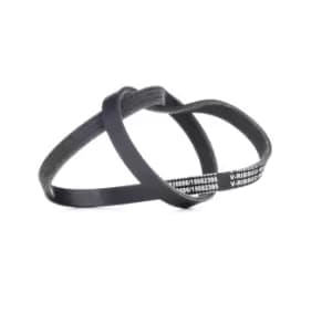 RIDEX V-ribbed belt 305P0403 Serpentine belt,Auxiliary belt BMW,FORD,TOYOTA,3 Limousine (E46),5 Limousine (E60),5 Touring (E61),5 Limousine (E39)