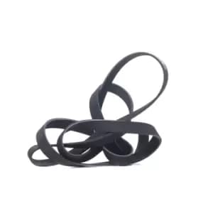 RIDEX V-ribbed belt FORD,VOLVO,MITSUBISHI 305P0469 1099892,1129181,YC1E6C301CB