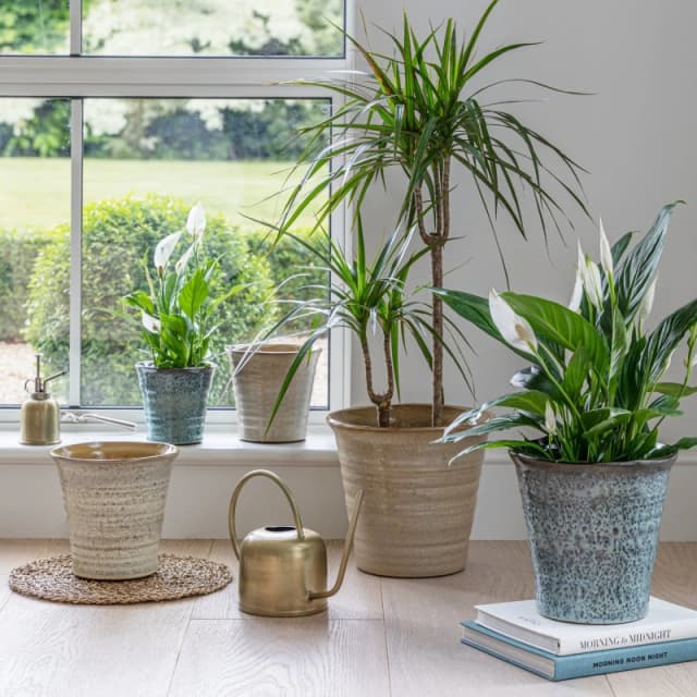 Ivyline Vallo Reactive Glaze Tapered Cream Planter H26.5cm D29.5cm Cream Unisex