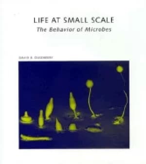 life at small scale the behavior of microbes