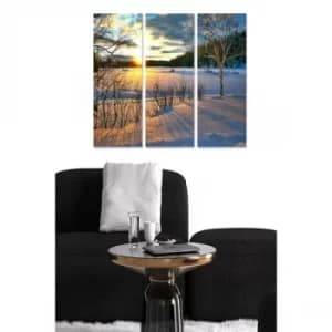 MDF3879676 Multicolor Decorative MDF Painting (3 Pieces)