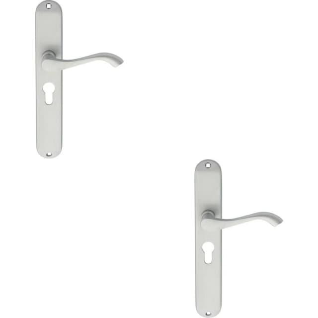 Loops 2x PAIR Curved Handle on Long Slim Euro Lock Backplate 241 x 40mm Satin Chrome Multi