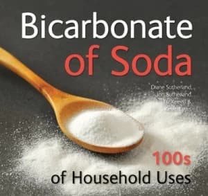 Bicarbonate of Soda by Diane Sutherland Paperback
