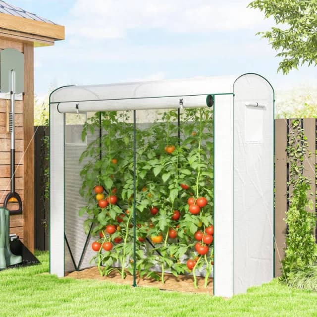 OUTSUNNY Mini Greenhouse, Portable Indoor Outdoor Green House with Mesh Windows in White Size: 2000mm x 2000mm White Unisex 2000mm x 2000mm