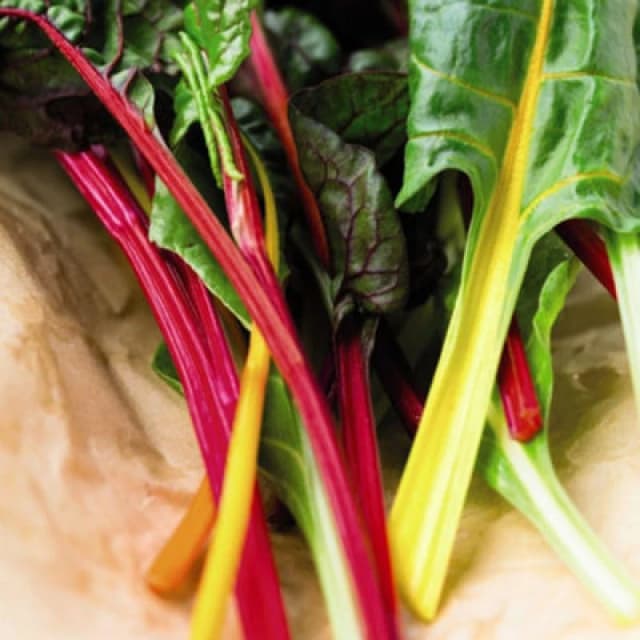 Thompson & Morgan Swiss Chard Beet Bright Lights Rubbed F1 Hybrid 1 Seed Packet