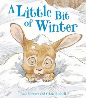 A Little Bit of Winter by Paul Stewart Paperback