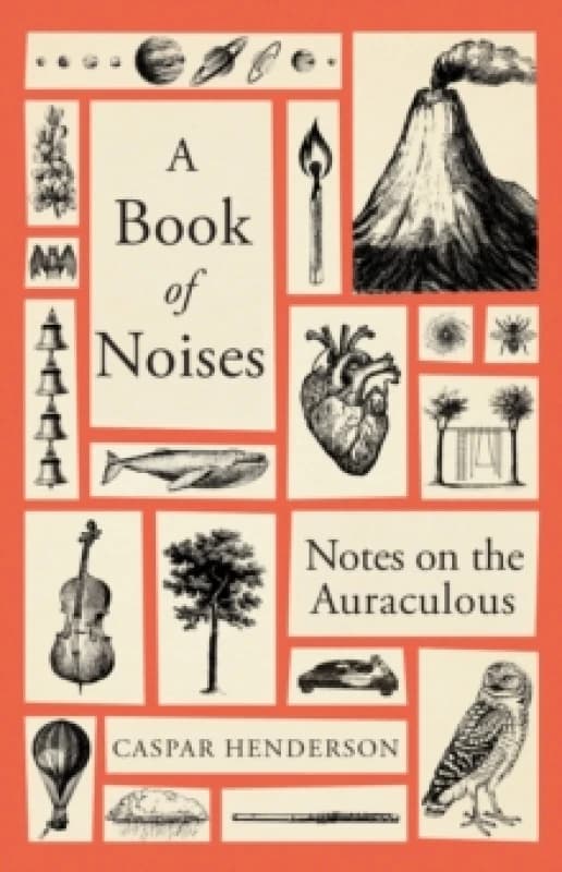 A Book of Noises : Notes on the Auraculous Hardback