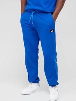 adidas Future Icons Pants - Royal Blue, Royal Blue Size M Men