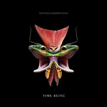 TONY BUCK AND MASSIMO PUPILLO - Time Being Vinyl