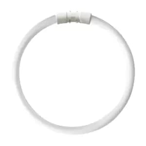 Kosnic 40w CFL T5 Circular Tube 2GX13 Cool White - KFT40STC/4P-840