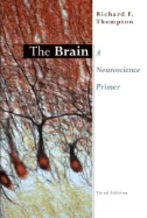 brain a neuroscience primer