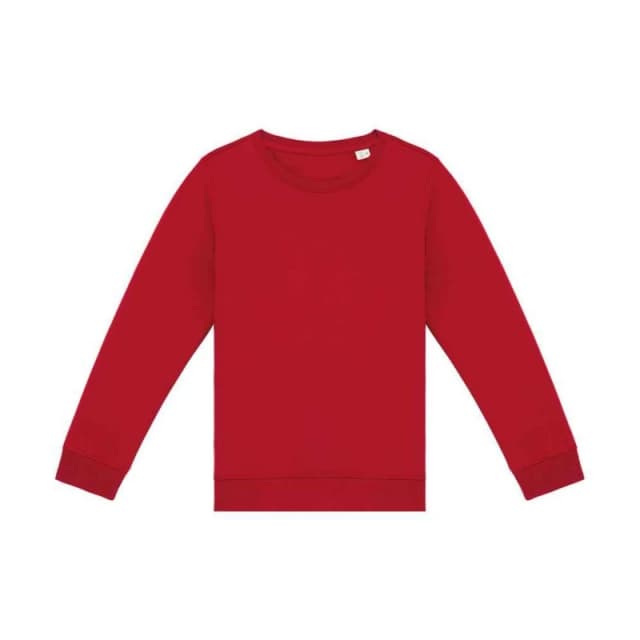 Native Spirit PC5120 boys's Children's sweater in Red