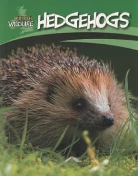 Hedgehogs by Sally Morgan Paperback