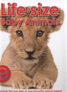 Life-Size Baby Animals by Marie Greenwood and Jenna Riggs Hardback