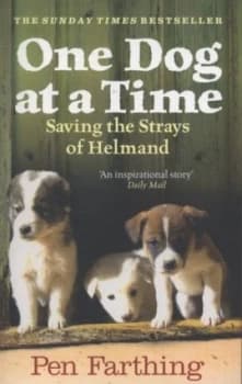 One Dog at a Time by Pen Farthing Paperback
