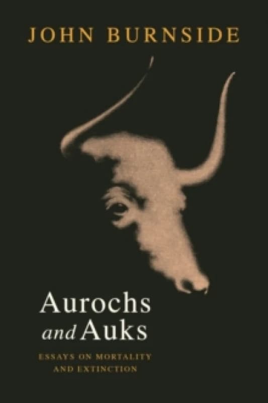 Aurochs and Auks : Essays on mortality and extinction Hardback