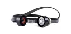 SKF V-ribbed belt set VW VKMA 31148 038903315AD,038903315AG,038903315AH Serpentine belt kit,Auxiliary belt kit,Poly V-belt kit,V-ribbed belt kit