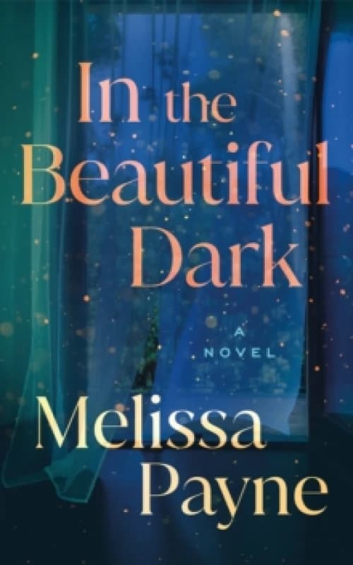In the Beautiful Dark : A Novel Paperback / softback