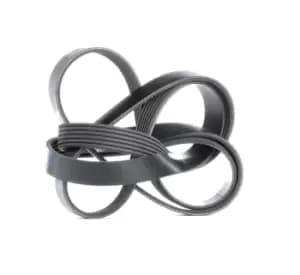 Bosch V-ribbed belt 1 987 946 005 Serpentine belt,Auxiliary belt AUDI,FORD,TOYOTA,A8 (4E2, 4E8),Fiesta Mk4 Schragheck (JAS, JBS),KA (RB_)