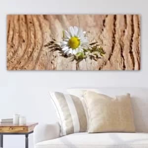 YTYDR74736_50120 Multicolor Decorative Canvas Painting