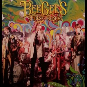 Spicks And Specks Vinyl