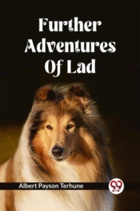 Further Adventures Of Lad Paperback / softback