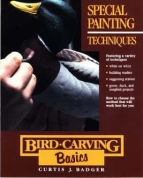 Special Painting Techniques by Curtis J Badger Paperback