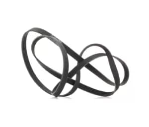 Bosch V-ribbed belt VW,AUDI,HYUNDAI 1 987 947 564 059903137AE,252122F000,252122G120 53010027,53010279,252122F000,252122F010,LR012625,059903137AE