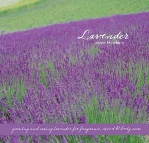 Lavender by Kristine Farley Hardback