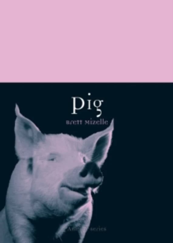 Pig Paperback / softback