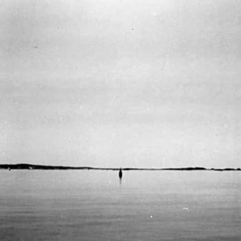 Federsen - Rose Bay Vinyl