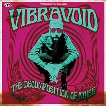 Vibravoid - The Decomposition of Noise CD
