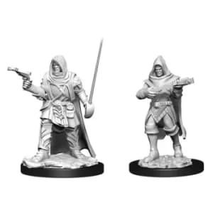 Pathfinder Battles Deepcuts Unpainted Miniatures (W13)Human Rogue Male