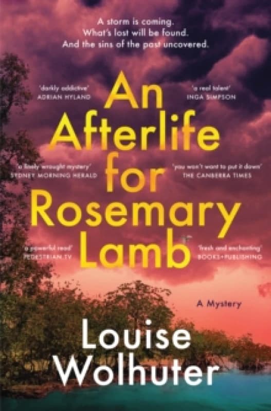 An Afterlife for Rosemary Lamb Hardback