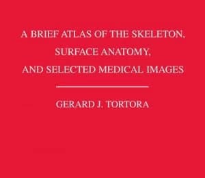 A Brief Atlas of the Human Skeleton Surface Anatomy and Selected Medical Images by Gerard J. Tortora Paperback