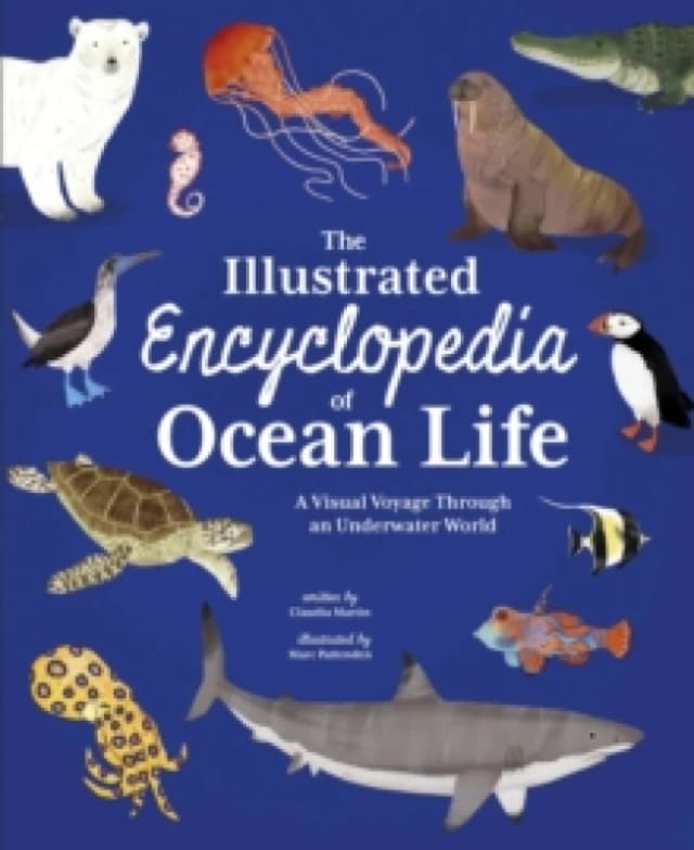 The Illustrated Encyclopedia of Ocean Life : A Visual Voyage Through an Underwater World Hardback